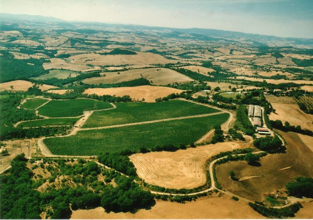 Fattoria Poggio Foco Villa Manciano Exterior photo